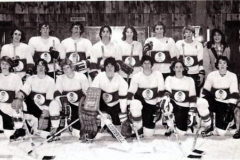 1976 Mt Lebanon Blue Devils Class AAA Pennsylvania Cup Champions